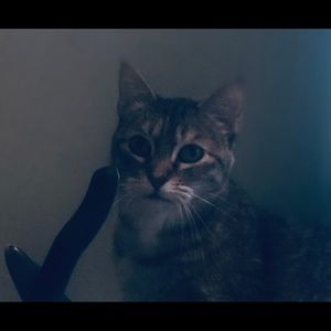 Meet your Posher, Debbie